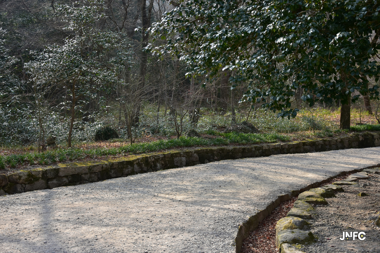 jnfc_45_134784.jpg