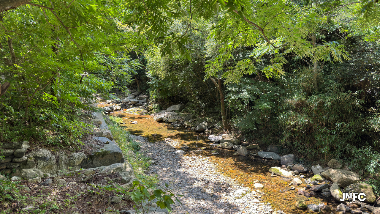 jnfc_45_155794.jpg