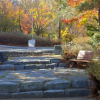 jnfc_466_5610.jpg