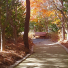 jnfc_466_5611.jpg