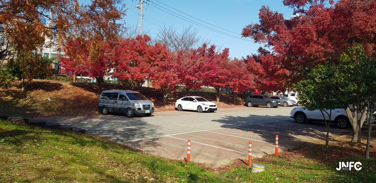 jnfc_485_127271.jpg