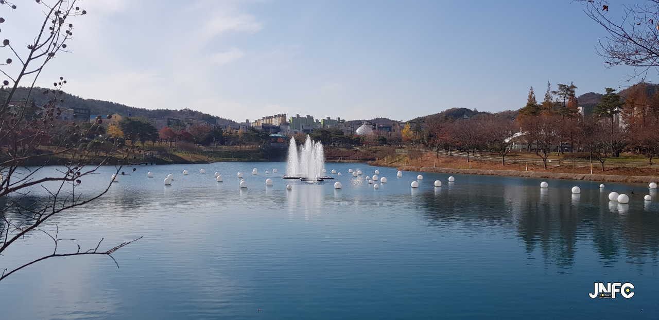 jnfc_485_127273.jpg