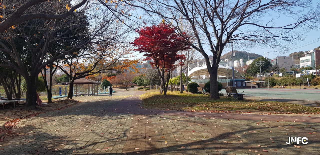 jnfc_485_127277.jpg