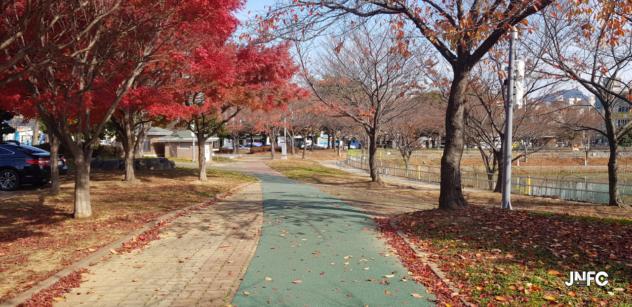 jnfc_485_127282.jpg