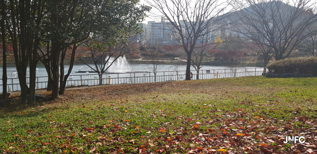 jnfc_485_127285.jpg