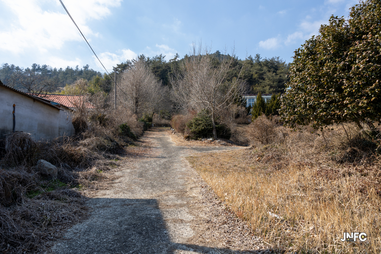 jnfc_4939_131099.jpg