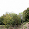 jnfc_4943_101084.jpg