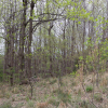 jnfc_4943_101086.jpg