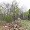 jnfc_4943_101090.jpg