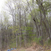 jnfc_4943_101091.jpg