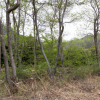 jnfc_4943_101092.jpg