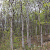 jnfc_4943_101093.jpg