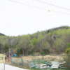 jnfc_4943_101094.jpg