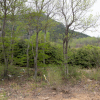 jnfc_4943_101095.jpg