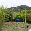 jnfc_4943_101099.jpg