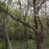jnfc_4943_101100.jpg