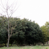jnfc_4943_101102.jpg