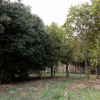 jnfc_4943_101103.jpg