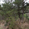 jnfc_4943_101104.jpg