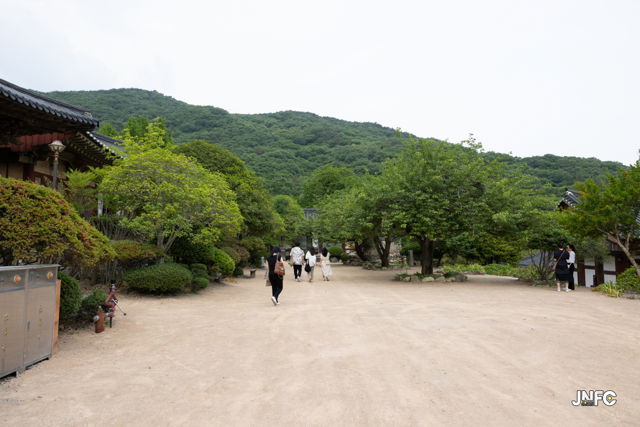 jnfc_4948_126479.jpg
