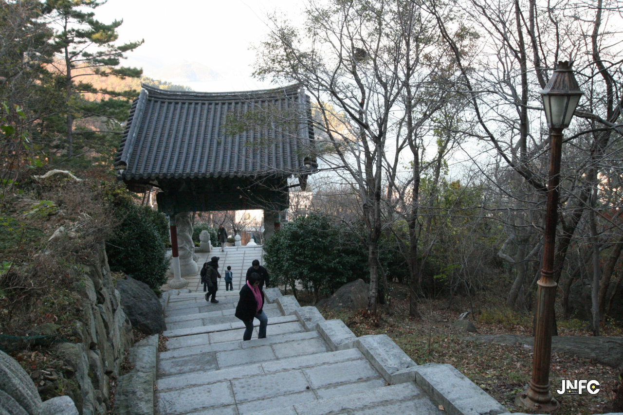 jnfc_50_127762.jpg