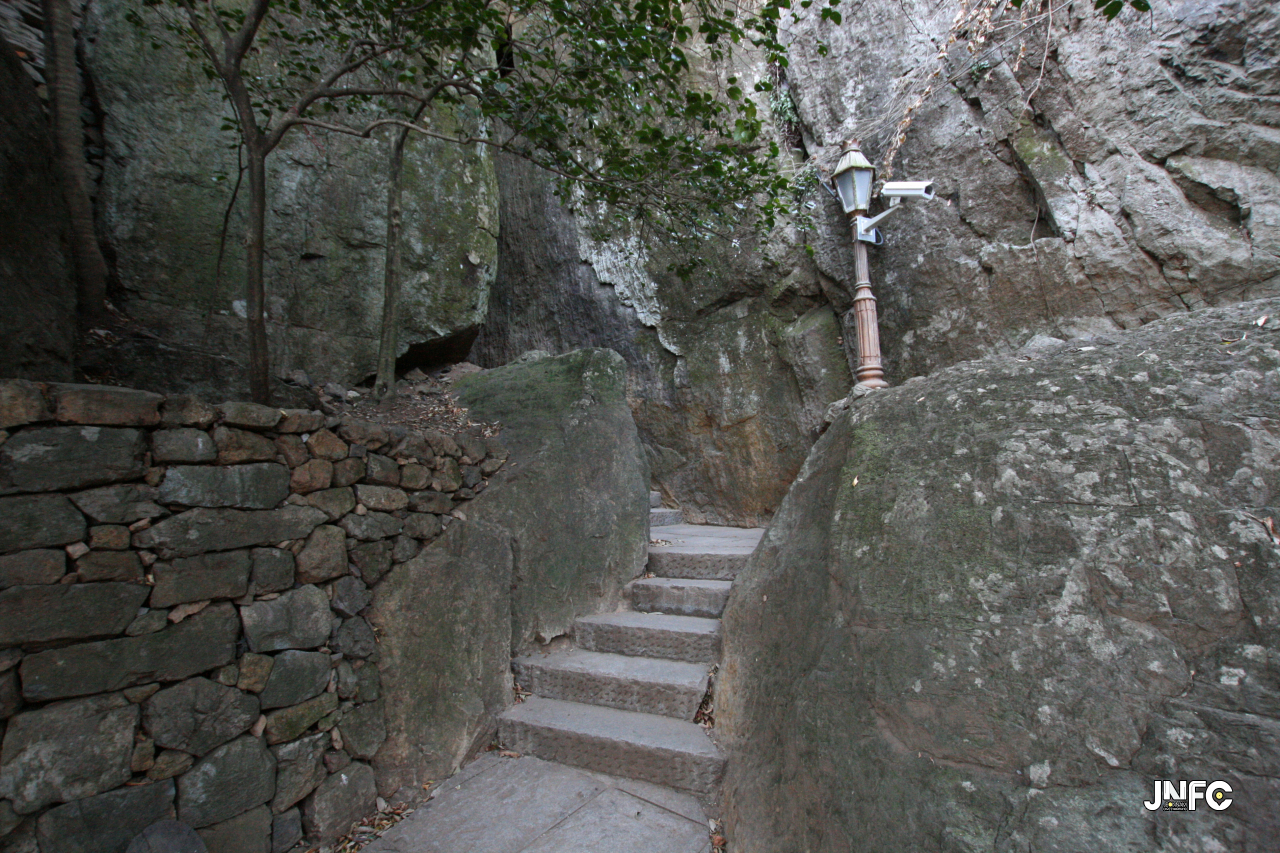 jnfc_50_127763.jpg