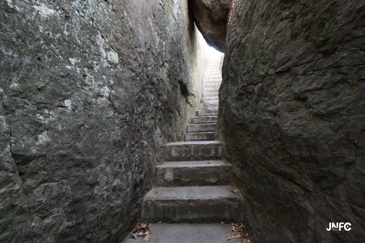 jnfc_50_127764.jpg