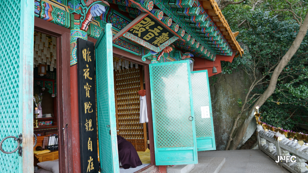 jnfc_50_127768.jpg