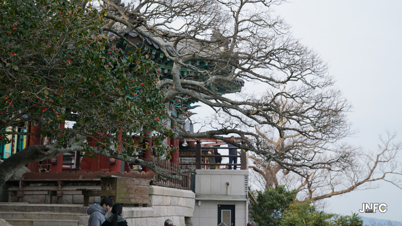 jnfc_50_127776.jpg