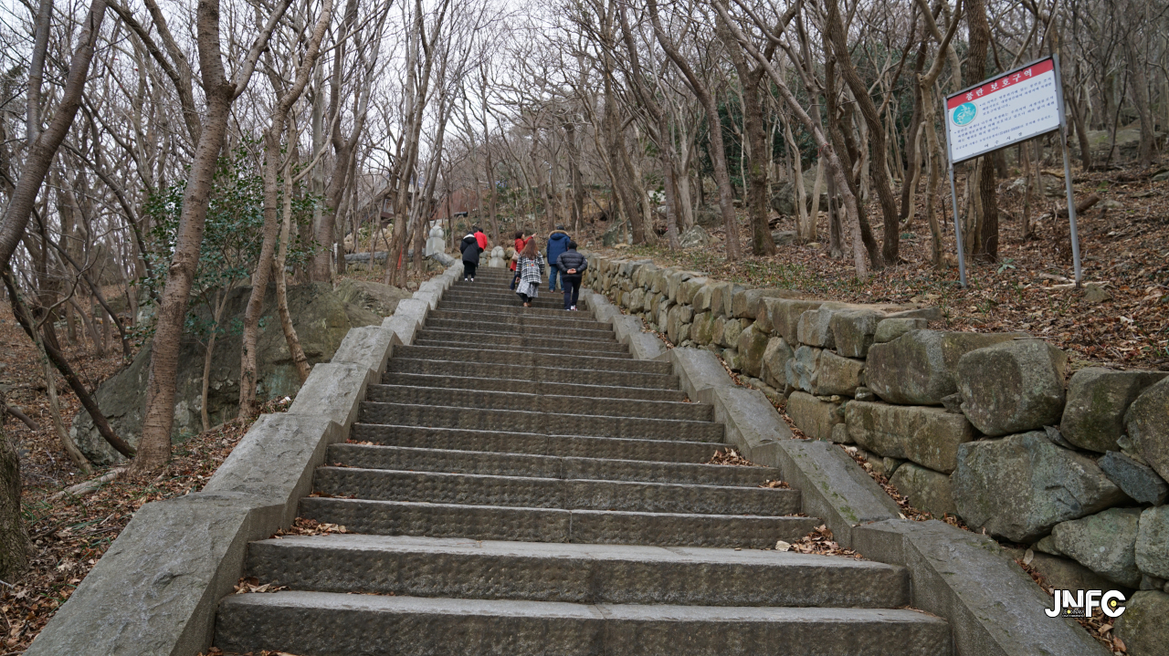 jnfc_50_127777.jpg