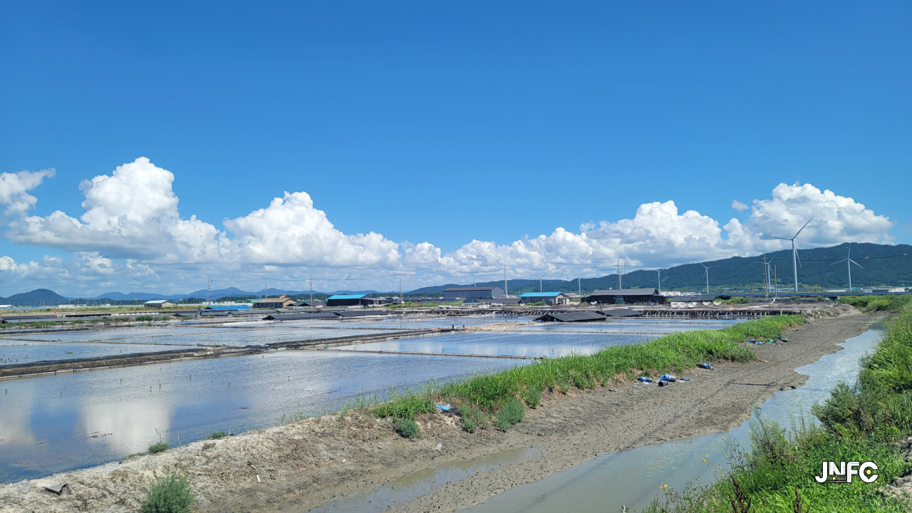 jnfc_5050_134253.jpg