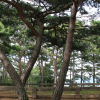 jnfc_5109_102357.jpg