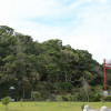 jnfc_5109_102358.jpg