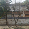 jnfc_5122_129917.jpg