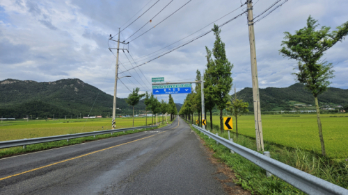 지산면 도로