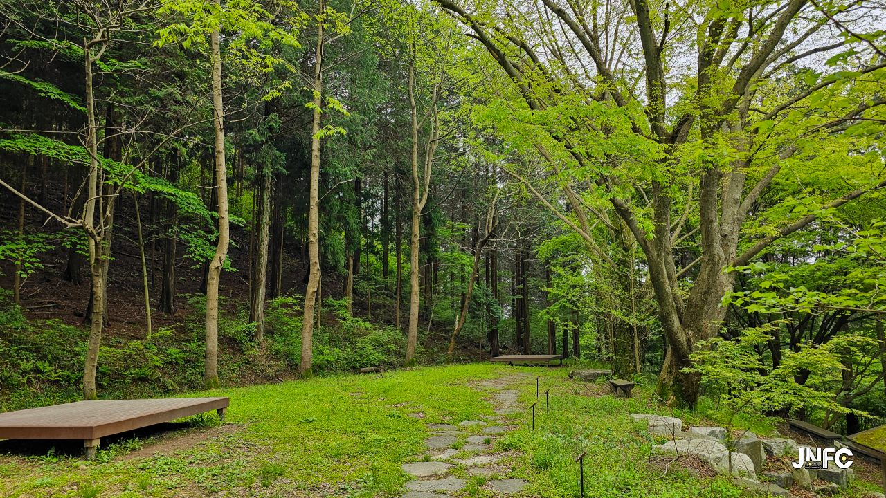 축령산삼나무편백숲