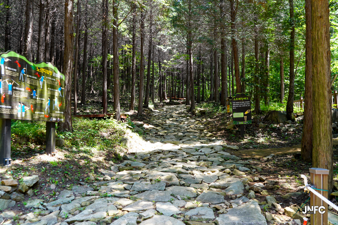 jnfc_5628_130718.jpg