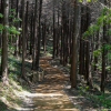 jnfc_5628_130721.jpg