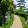 jnfc_5628_130729.jpg