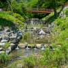 jnfc_5628_130734.jpg