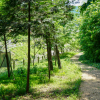 jnfc_5628_130738.jpg