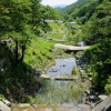 jnfc_5628_130740.jpg