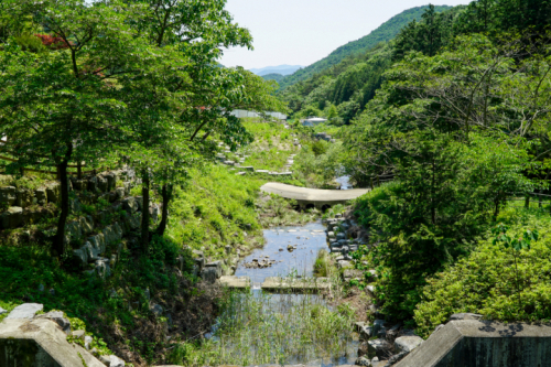 고흥 편백치유의 숲 돌다리