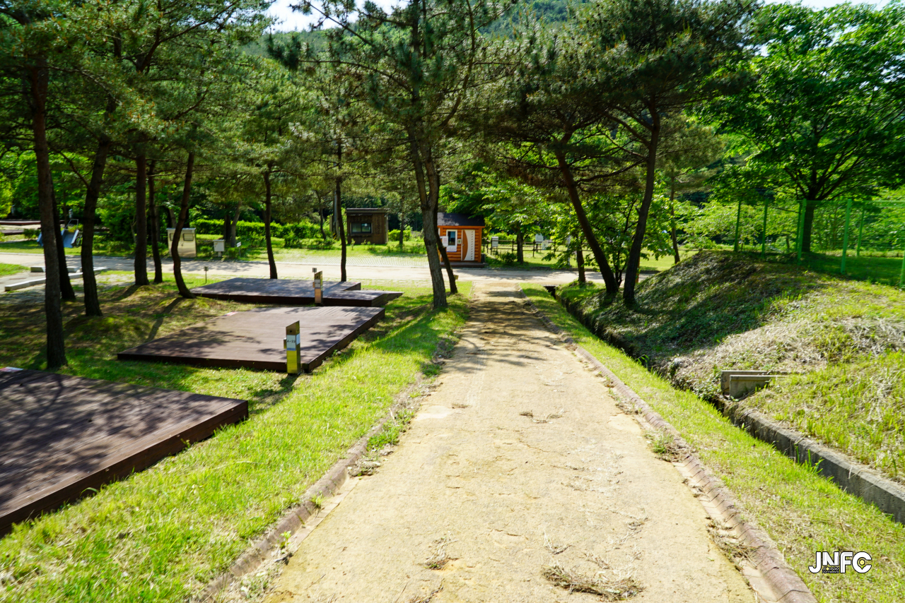 jnfc_5631_130817.jpg