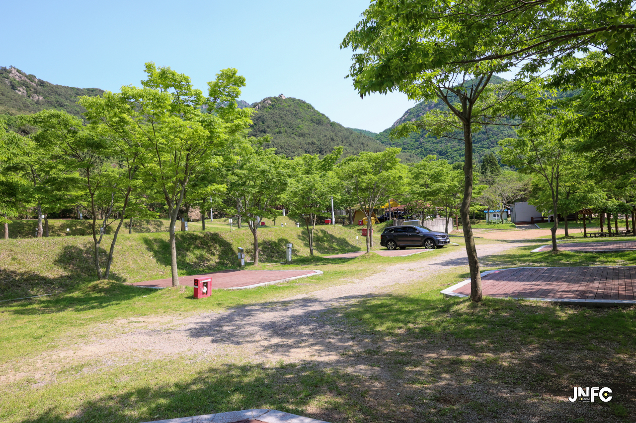 jnfc_5631_130818.jpg