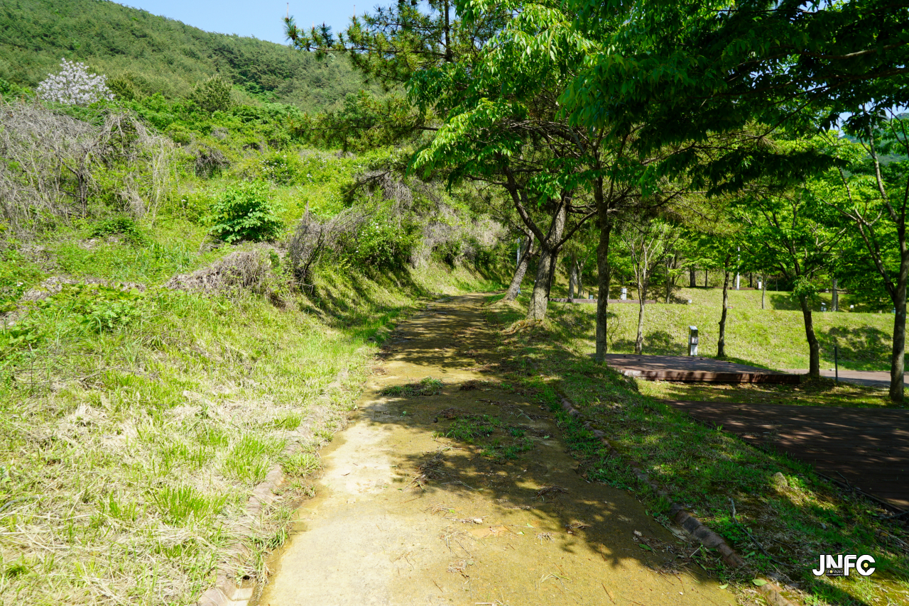 jnfc_5631_130819.jpg