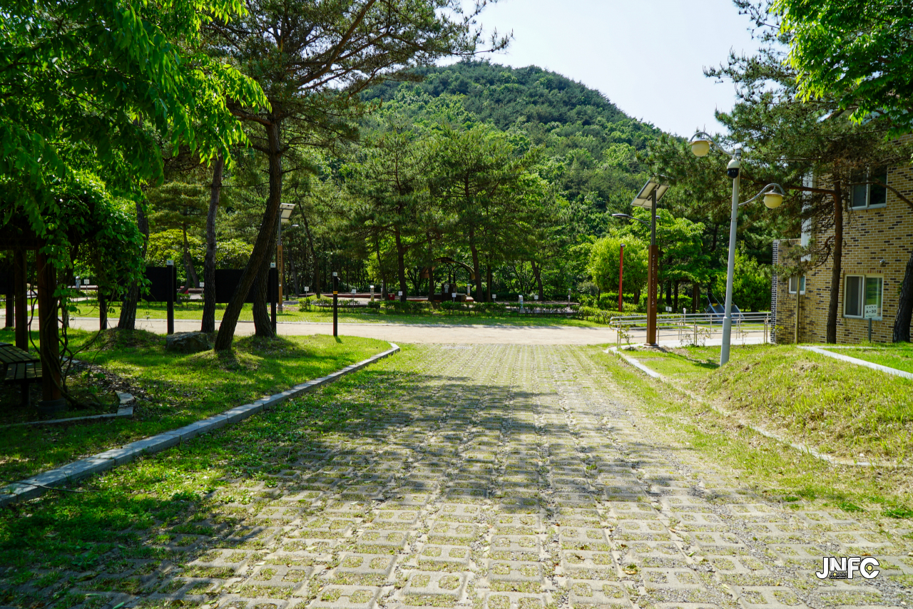jnfc_5631_130821.jpg