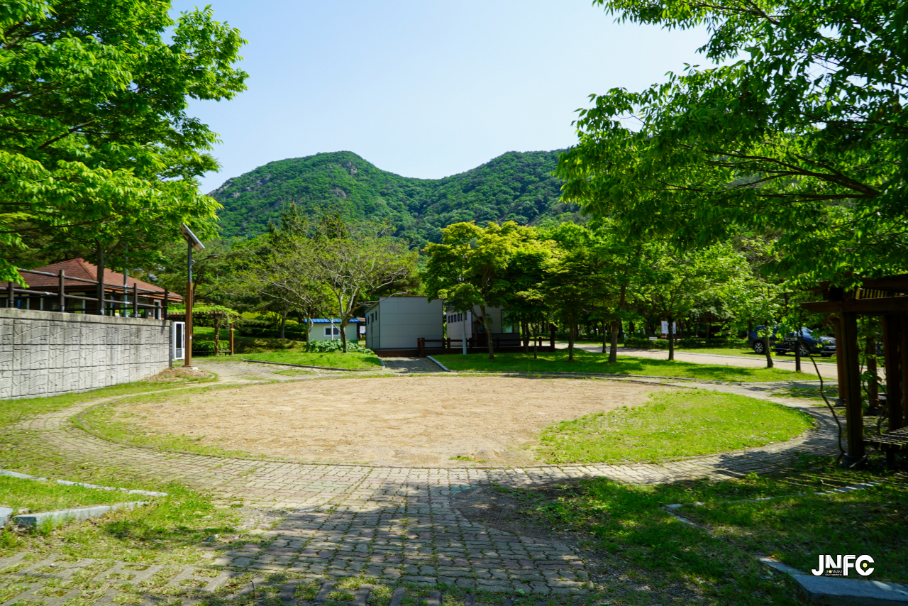 jnfc_5631_130823.jpg