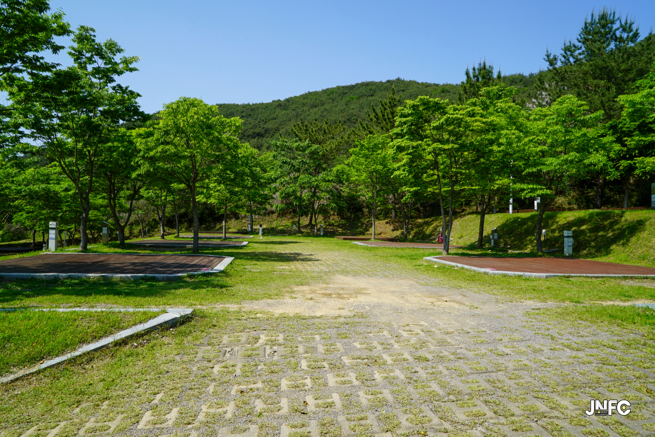jnfc_5631_130824.jpg