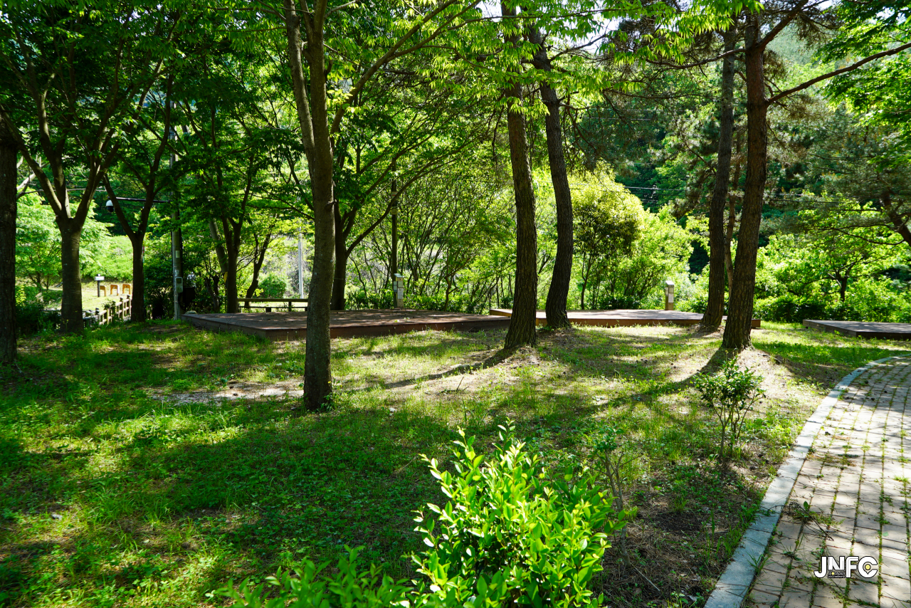 jnfc_5631_130826.jpg